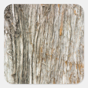 Tree trunk square sticker