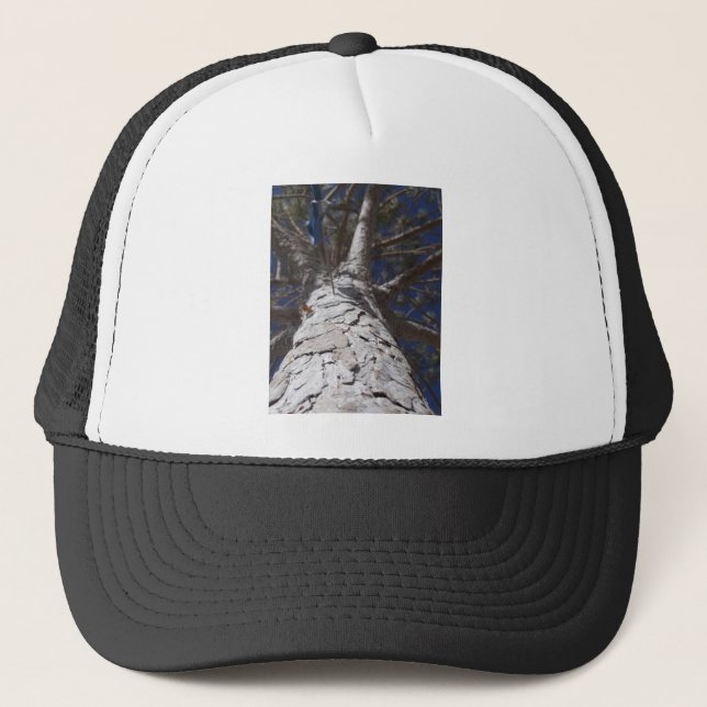 Tree trunk trucker hat (Front)