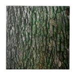 Tree Trunk (Wood Bark) Ceramic Tile<br><div class="desc">This design features a close-up image of a tree trunk,  showing the elegant natural patterns in its bark and moss. It captures a sense of the immense beauty of our natural world.</div>
