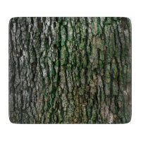 Tree Trunk (Wood Bark)