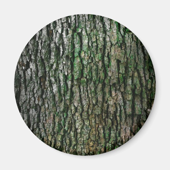 Tree Trunk (Wood Bark) Magnet (Front)