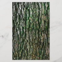 Tree Trunk (Wood Bark)