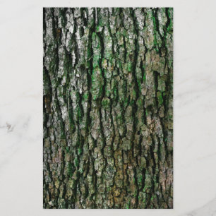 Tree Trunk (Wood Bark) Stationery