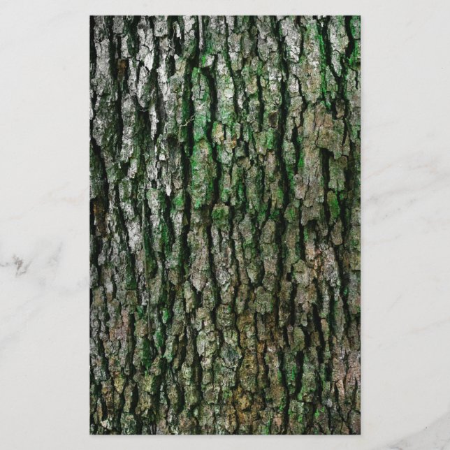 Tree Trunk (Wood Bark) Stationery (Front)