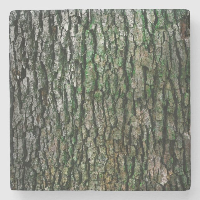 Tree Trunk (Wood Bark) Stone Coaster (Front)