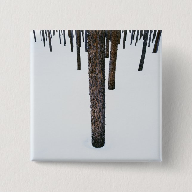 Tree Trunks in Snow 15 Cm Square Badge (Front)