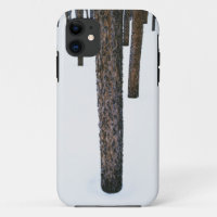 Tree Trunks in Snow