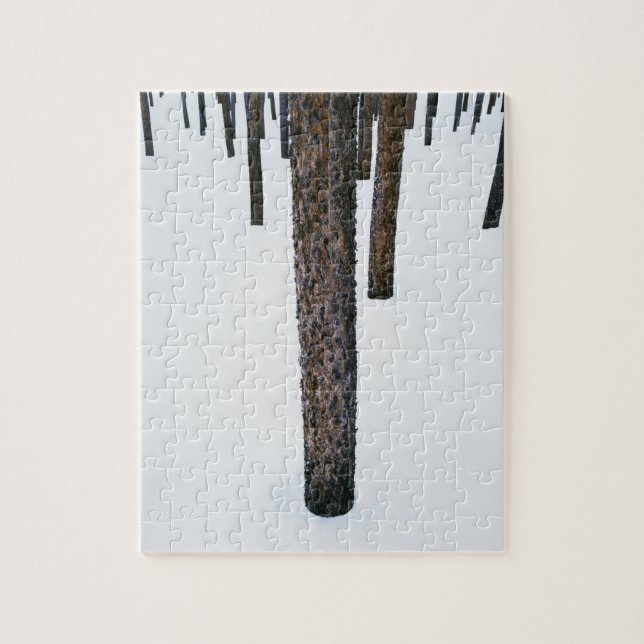 Tree Trunks in Snow Jigsaw Puzzle (Vertical)