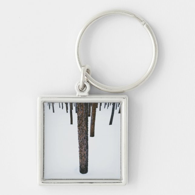 Tree Trunks in Snow Key Ring (Front)