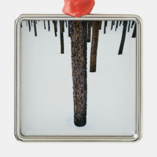 Tree Trunks in Snow Metal Ornament