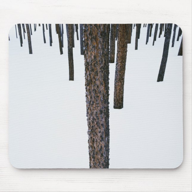 Tree Trunks in Snow Mouse Pad (Front)