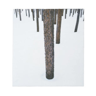 Tree Trunks in Snow Notepad