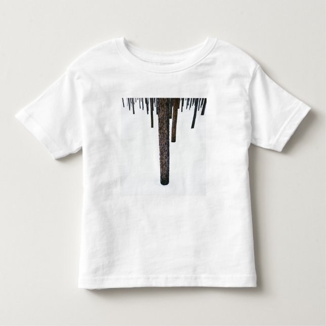 Tree Trunks in Snow Toddler T-Shirt (Front)