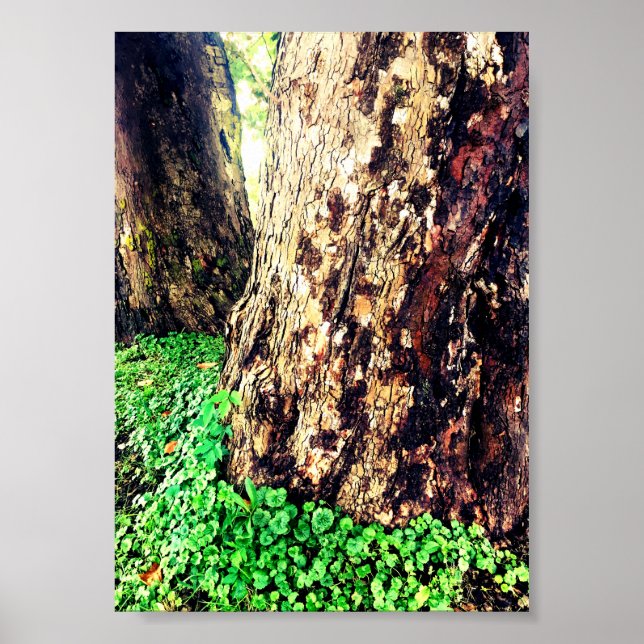 tree trunks poster (Front)