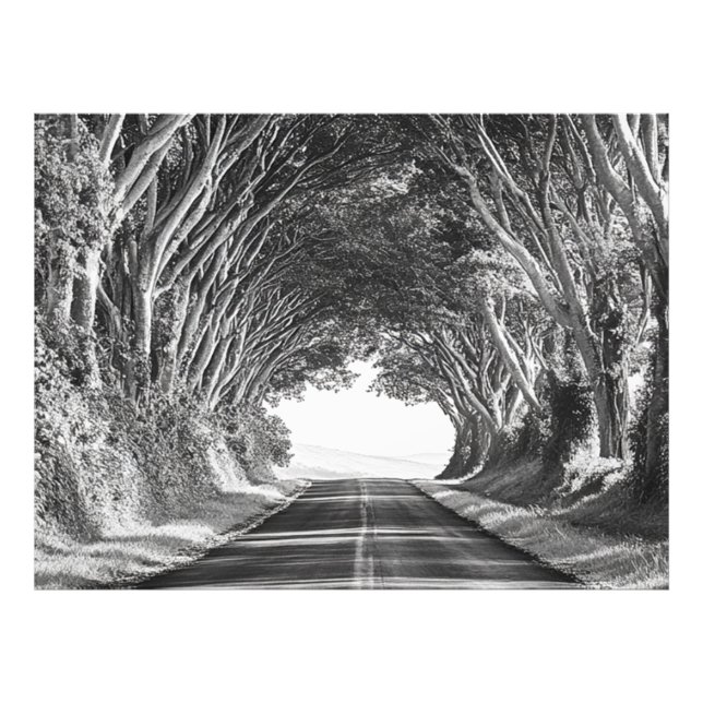 Tree Tunnel Kauai Photography Black and White Photo Print (Front)