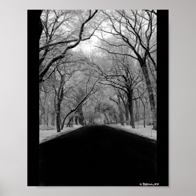 Tree Tunnel Poster (Front)