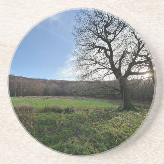 Tree view.. coaster (Front)