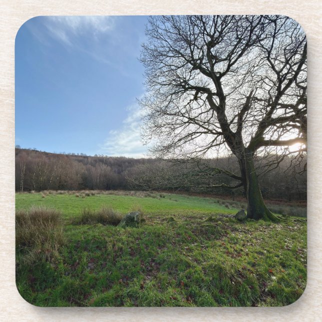 Tree view.. coaster (Front)