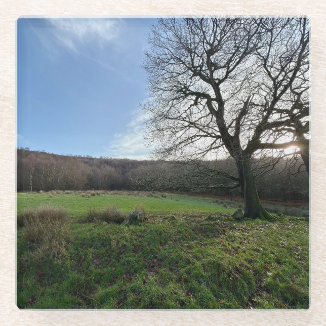 Tree view.. glass coaster (Front)