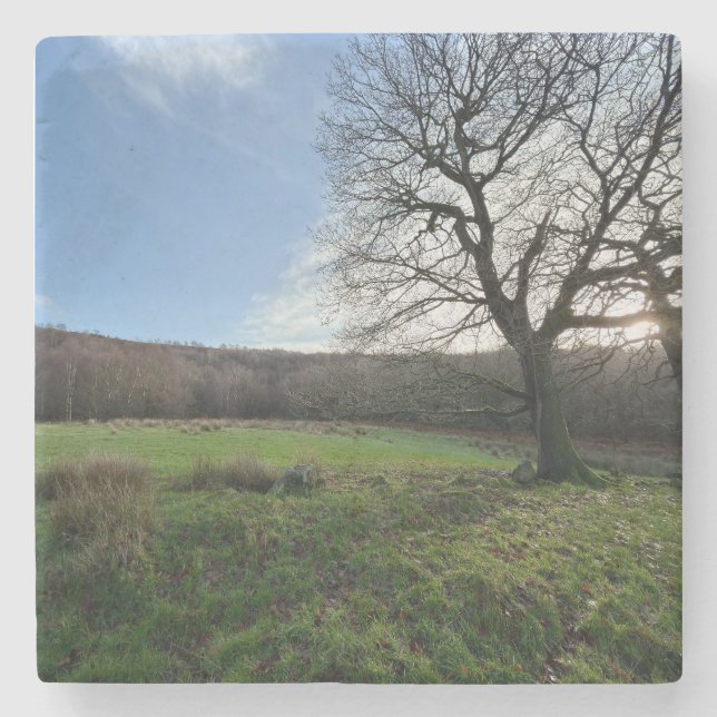 Tree view.. stone coaster (Front)