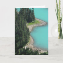 Tree Water Landscape