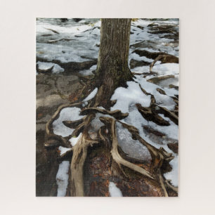 Tree With Exposed Roots and Snow Jigsaw Puzzle