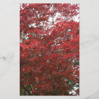 Tree with Red Autumn Leaves Stationery