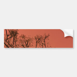 Tree with red sky bumper sticker