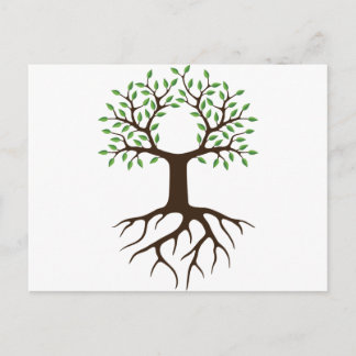 tree with roots postcard