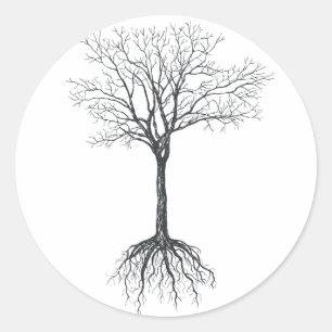 Tree without leaves classic round sticker