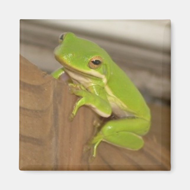 TreeFrog1 Magnet (Front)