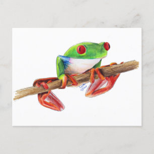 Treefrog tree frog cute animal illustration drawin postcard