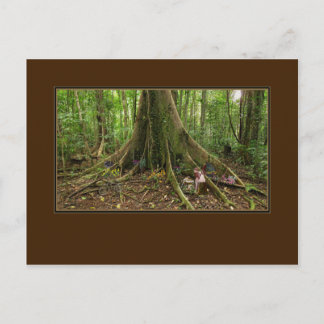 TreeHouse Montage Postcard