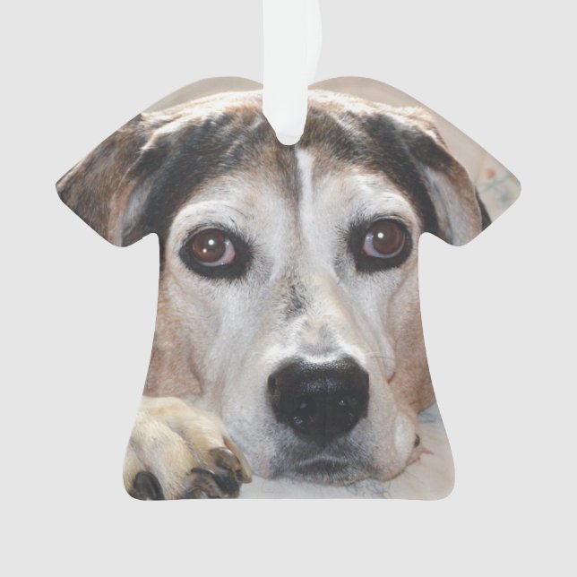 Treeing Walker Coonhound Hound Dog Ornament (Front)
