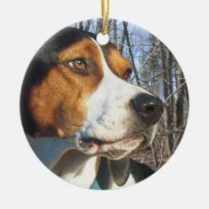 Treeing Walker Coonhound In Woods Ceramic Ornament
