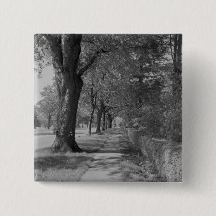 Treelined street with sidewalk 15 cm square badge