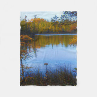 trees across a lake in fall blanket