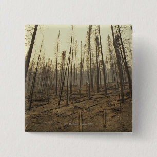 Trees after forest fire 15 cm square badge