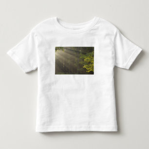 Trees alongside 7 Lakes Drive, Harriman, NY Toddler T-Shirt