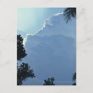 Trees and clouds postcard