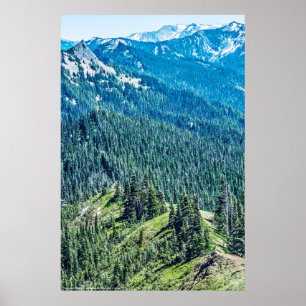 Trees and Ridges Poster
