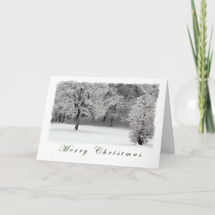 Trees and Snow Merry Christmas Holiday Card