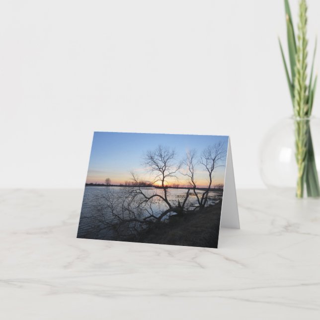 Trees and Sunset - Blank Greeting Card (Front)