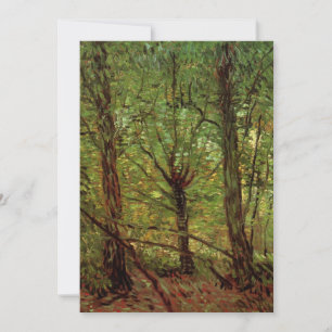 Trees and Undergrowth by Vincent van Gogh