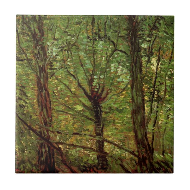Trees and Undergrowth by Vincent van Gogh Ceramic Tile (Front)