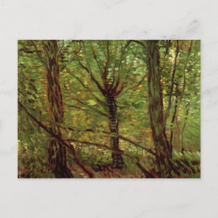 Trees and Undergrowth by Vincent van Gogh Postcard