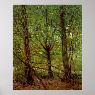 Trees and Undergrowth by Vincent van Gogh Poster