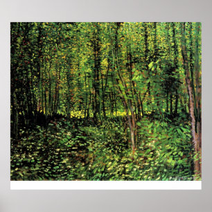 Trees and Undergrowth by Vincent van Gogh Poster