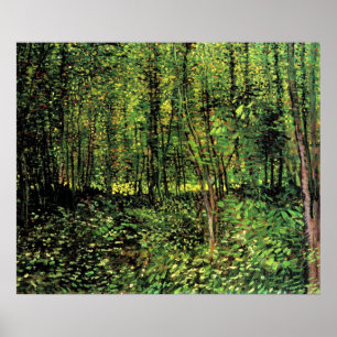 Trees And Undergrowth Poster