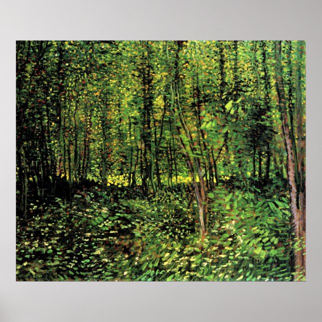 Trees And Undergrowth Poster (Front)